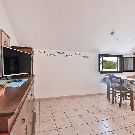 Cotoncello In Posizione Panoramica - Goelba 马尔恰纳