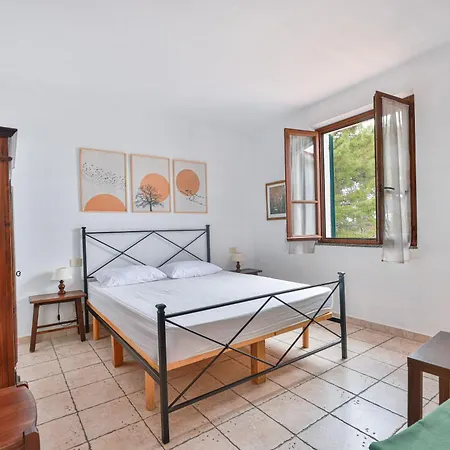 Cotoncello In Posizione Panoramica - Goelba Apartman Marciana