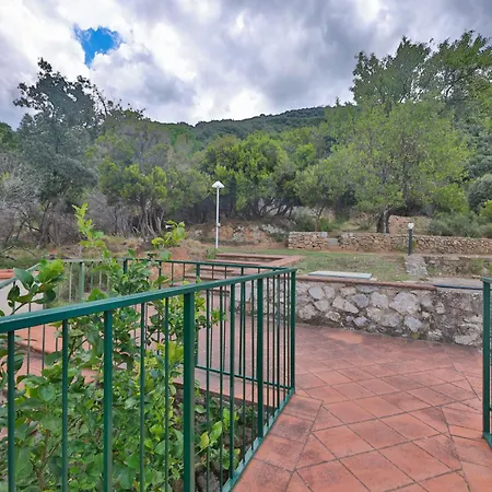 Cotoncello In Posizione Panoramica - Goelba *